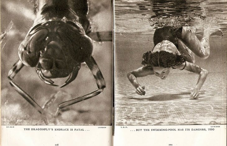 Истории без слов - фотографии из журнала "Лилипут" 1937 года 
