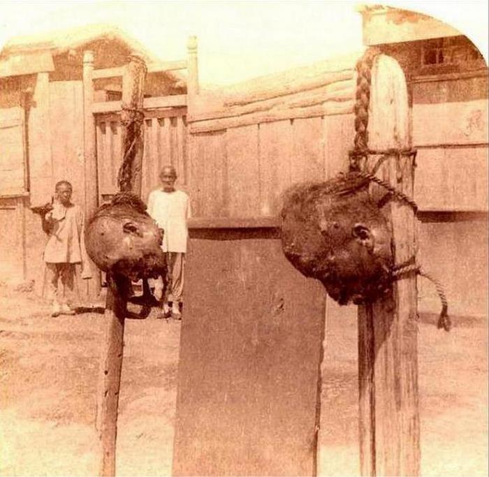 15 правдивых фотографий наказаний и казней, которые практиковались в Китае в XIX веке история, казнь, китай, общество