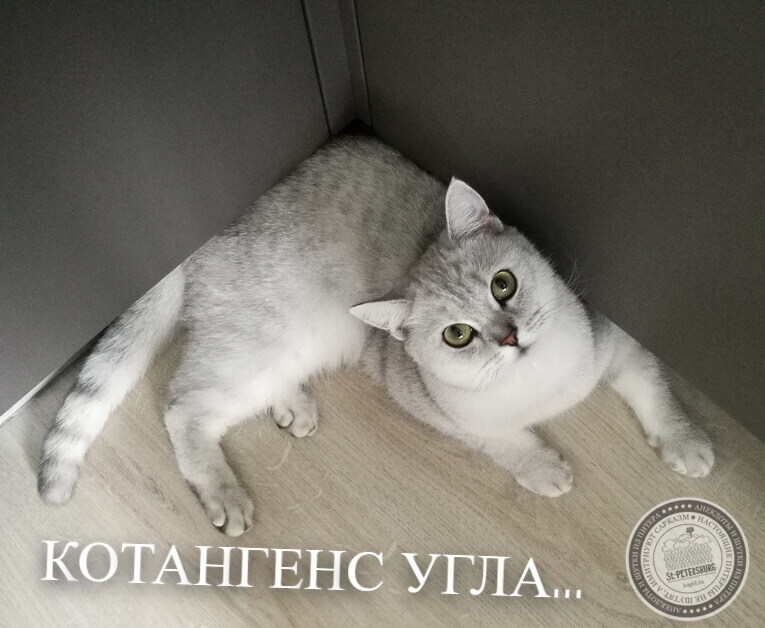 Котангенс