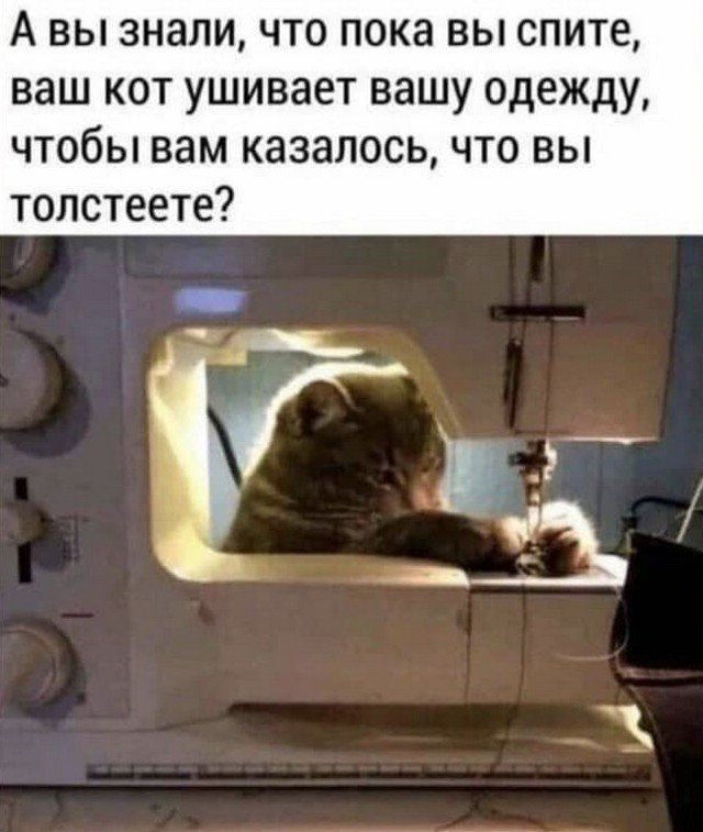 Шутки и мемы из Сети Шутки и мемы из Сети позитив,смешные картинки,юмор