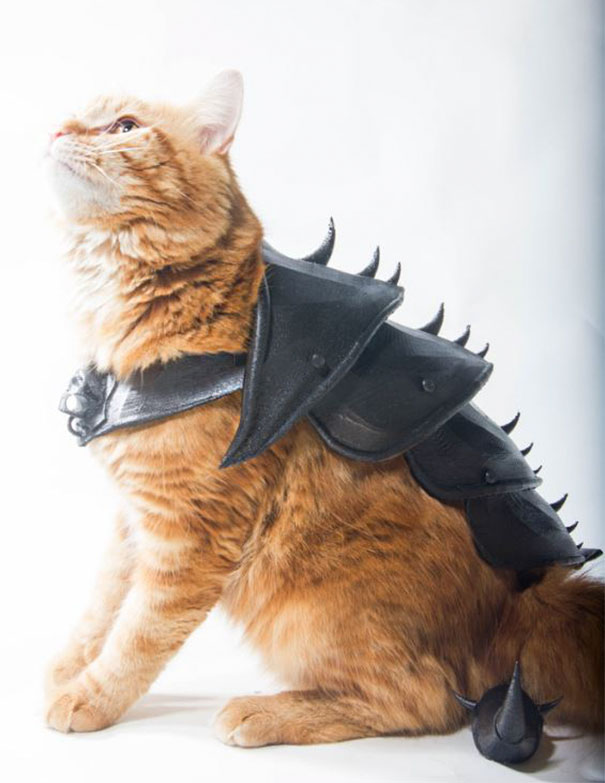 cat-armor-3d-print-that-thing-8