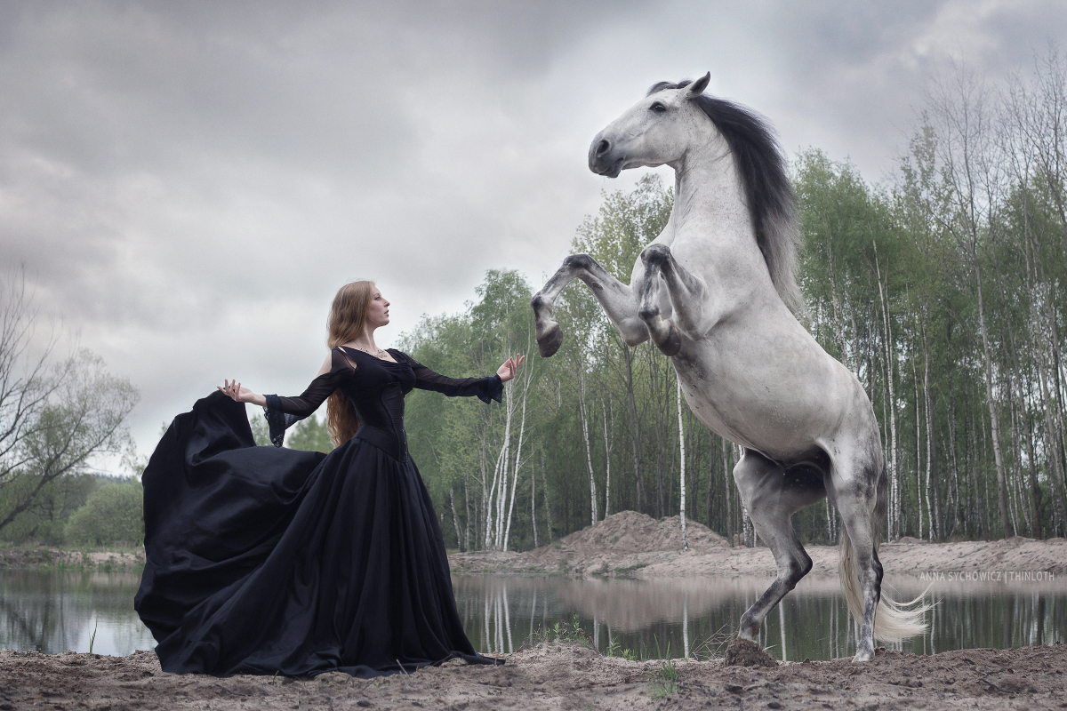 Большие девушки конь. Фотосессии в стиле фэнтези с лошадьми. Готика лошади. Фотосессия Викторианский стиль с лошадью. Девушка на коне прикол.