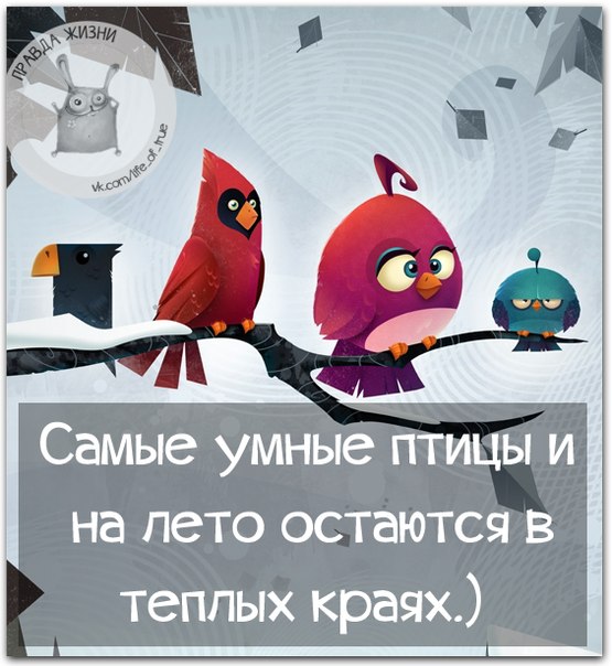 Прикольные фразки в картинках 