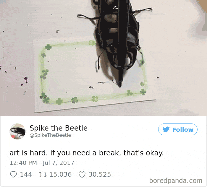 Drawing-bug-spike-the-beetle-japan