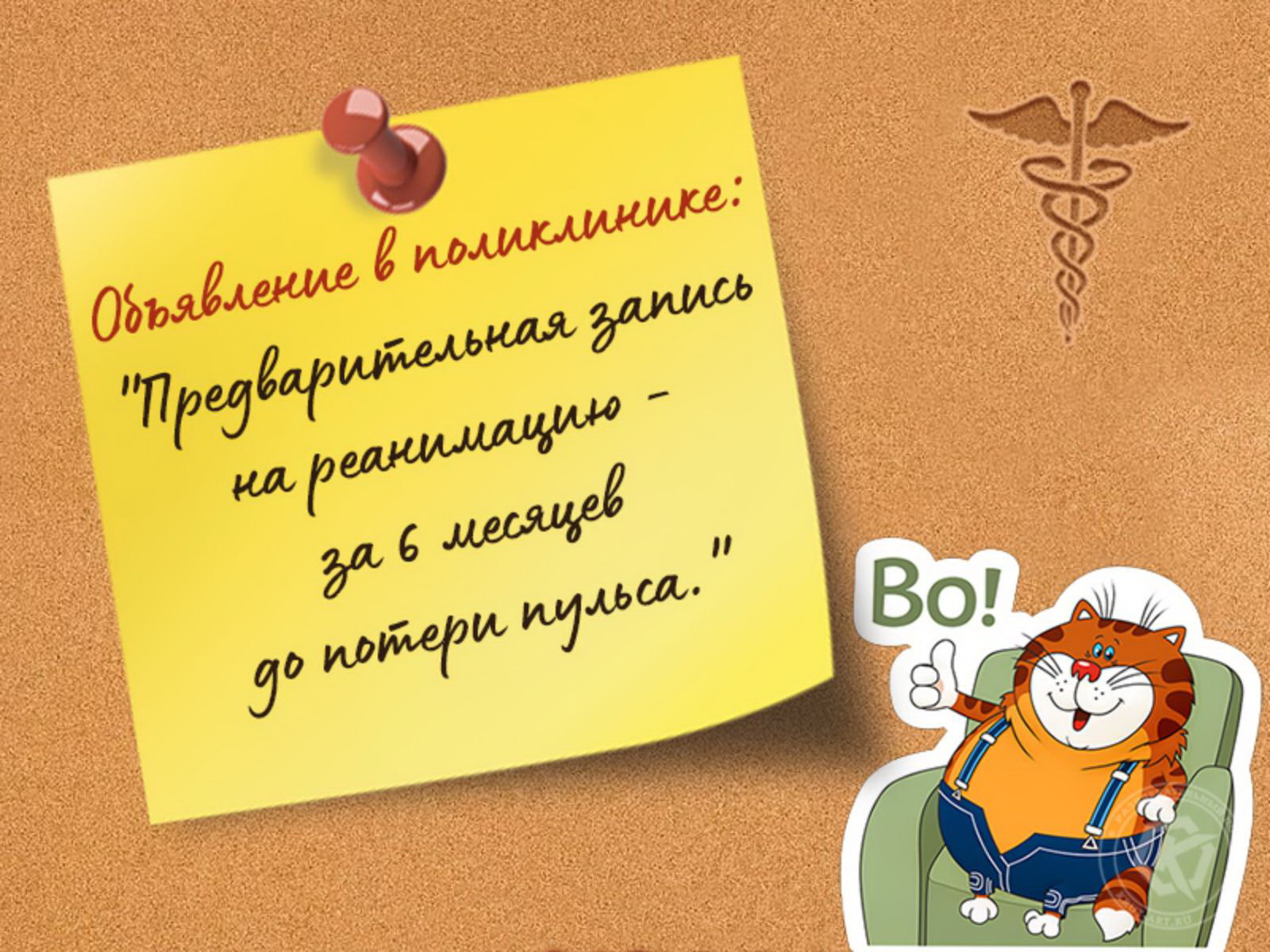Подборка анекдотов и шуток в картинках Подборка анекдотов и шуток в картинках