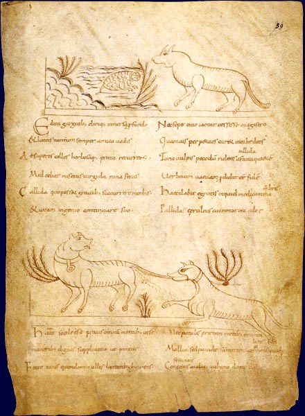 https://upload.wikimedia.org/wikipedia/commons/1/17/Avianus_the_fox_and_the_dog.jpg