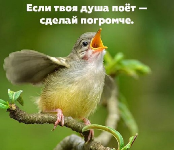 Ржачные фото приколы и картинки с надписями Ржачные фото приколы и картинки с надписями