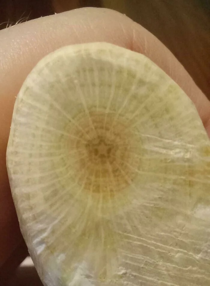 Bigpicture ru без названия 2022 10 10t092151.434