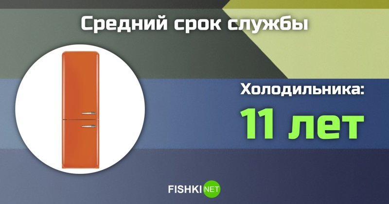 Сколько прослужит техника, которую мы каждый день используем? ЖК-телевизор, СВЧ-печь, жизнь техники, пылесос, смартфон, срок службы, техника, холодильник