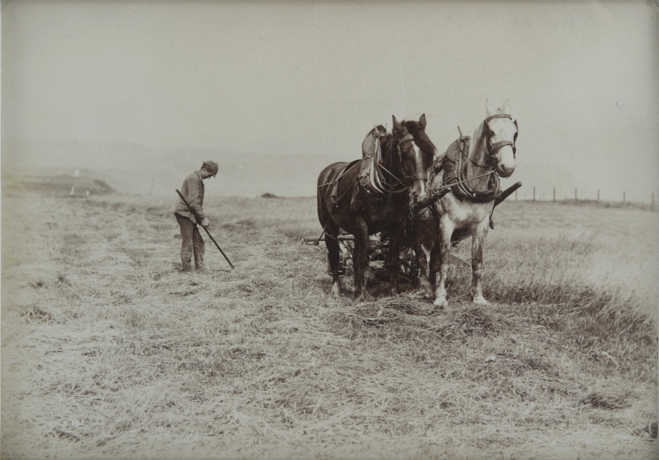 Фрэнк Мидоу Сатклиф:  как жила простая Англия  1890-1920 гг.  Наглядно 1