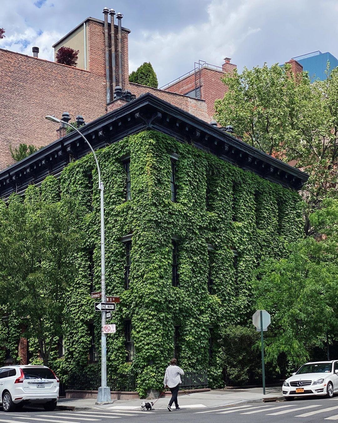 Вот так засосало... О домах, поглощённых плющом 