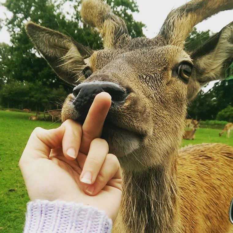 Ржачные фото приколы и картинки с надписями Ржачные фото приколы и картинки с надписями