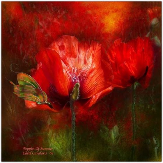 �������� �������� ����� ���������