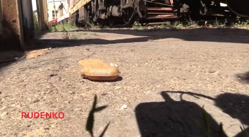 Украинский террор минами ПФМ-1 "Лепесток" оружие