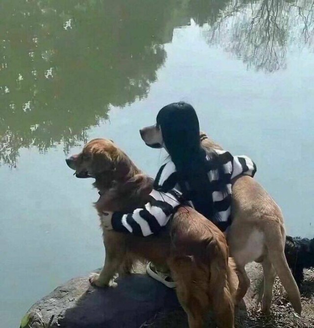 Очарование животных: моменты, которые заставляют улыбаться  