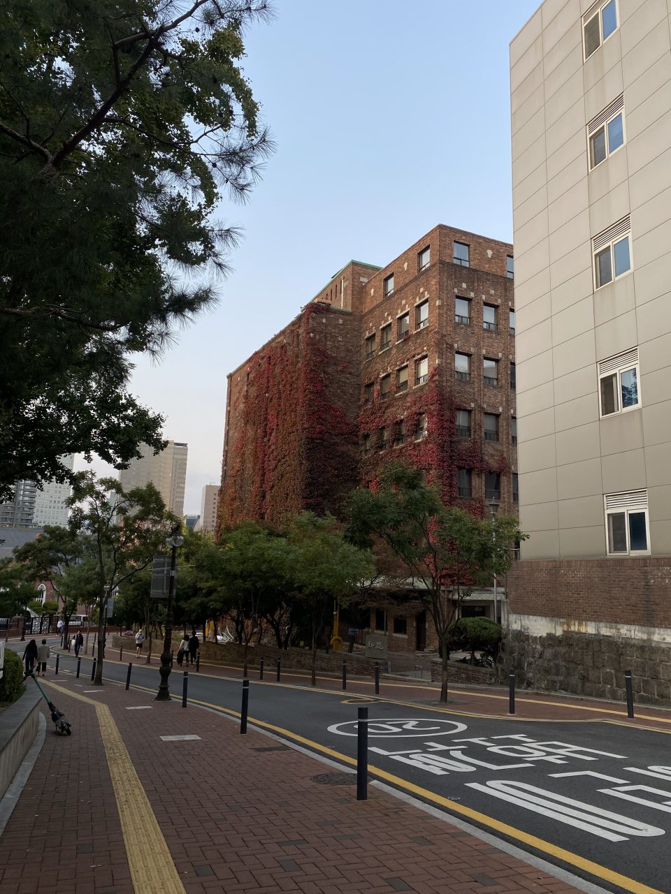 Рай вокруг многоэтажки: какие принципы благоустройства стоило бы подсмотреть в Южной Корее