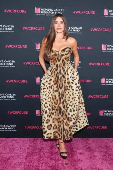 Дженнифер Лопес, София Вергара, Крис Дженнер и Эмбер Валлетта на благотворительном гала-концерте в Лос-Анджелесе платье, Дженнер, которая, Лопес, Суаре, Вергара, София, Дженнифер, Певица, Керри, Вашингтон, Ловато, чёрное, появилась, ЛопесДженнифер, ВергараСофия, ВашингтонКерри, ВашингтонЭмбер, ВергараКерри, ЛосАнджелесе