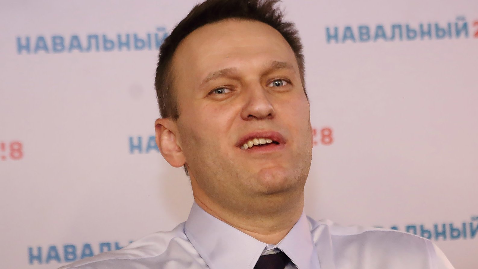 Навальный блоггер
