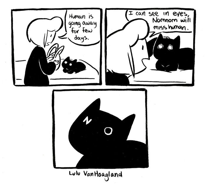 Cat Comics