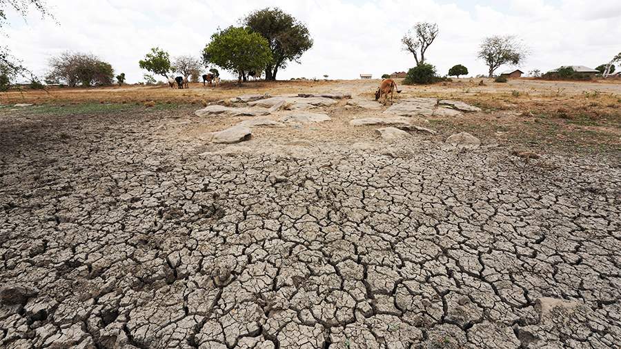 Эксперты предрекли голод для 600 млн человек к 2030 году из-за климатического кризиса