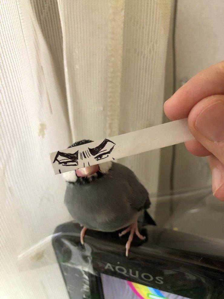 Подборка прикольных картинок Подборка прикольных картинок приколы,смешные картинки,юмор