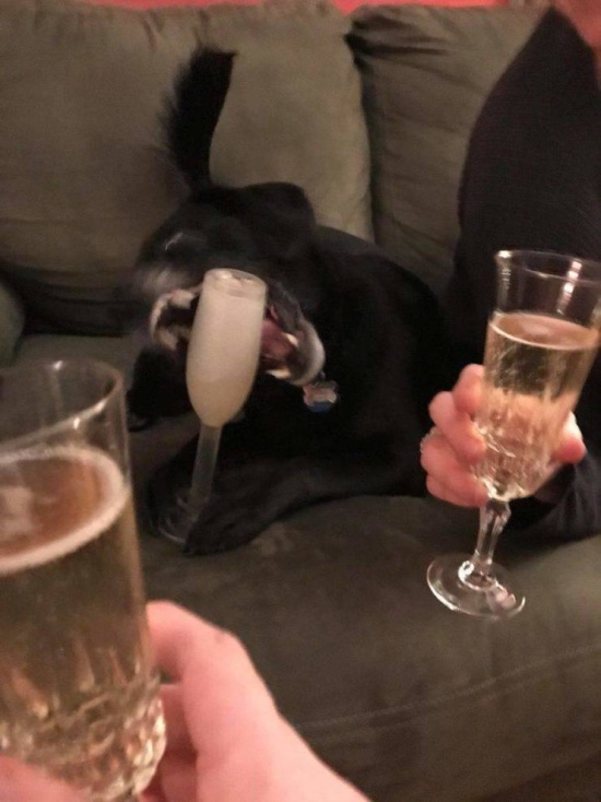 Подборка прикольных картинок Подборка прикольных картинок смешные картинки