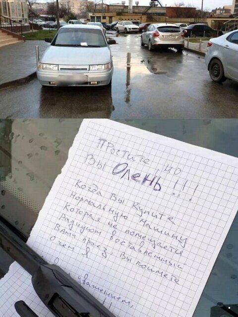 Подборка добрых и весёлых картинок Подборка добрых и весёлых картинок автоновости