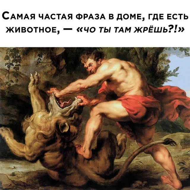 Подборка прикольных картинок Подборка прикольных картинок приколы,смешные картинки,юмор