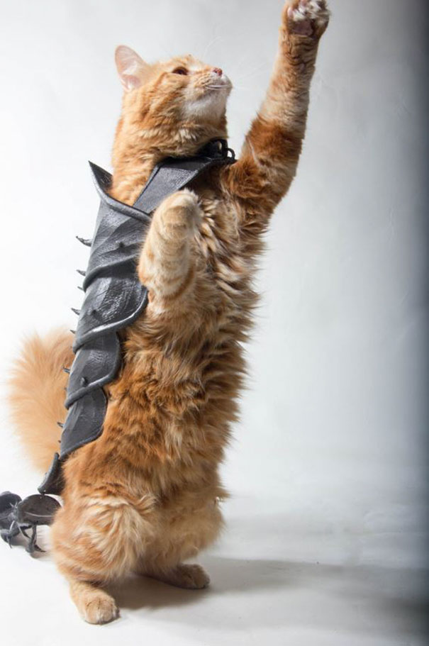 cat-armor-3d-print-that-thing-10