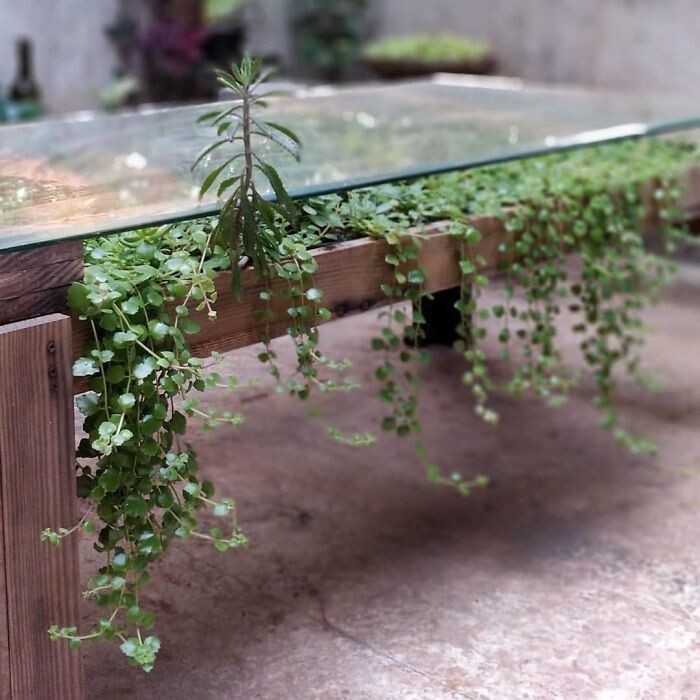 25 столов, превращенных в пышные зеленые сады идеи для дома,интерьер и дизайн,комнатные растения