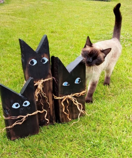 Коты в саду и на даче. 20 смешных, удивительных и просто няшных фото Коты в саду и на даче. 20 смешных, удивительных и просто няшных фото кошки, Только, кошка, хозяйка, цветы, вместо, мышей, этого, совершенно, котов, показать, вредителями, кошек, просто, чудеса13А, знаете, почему, некоторые, стремятся, залезть
