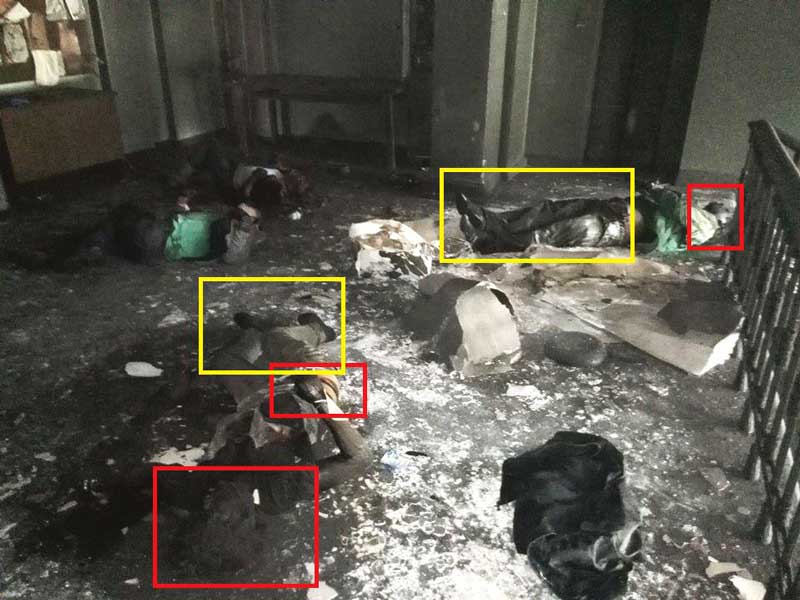 Как убивали одесситов в Доме Профсоюзов 2 мая 2014 г.