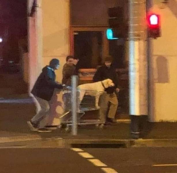 Подборка картинок. Вечерний выпуск  приколы,смешные картинки,юмор