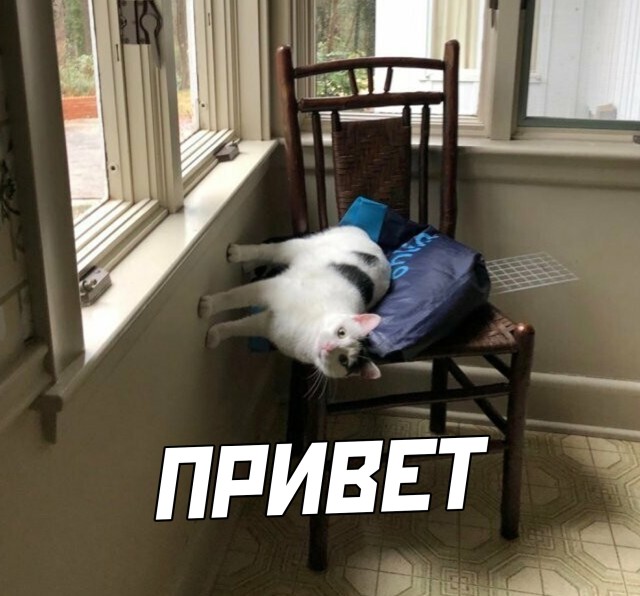 Подборка прикольных картинок Подборка прикольных картинок приколы,смешные картинки,юмор