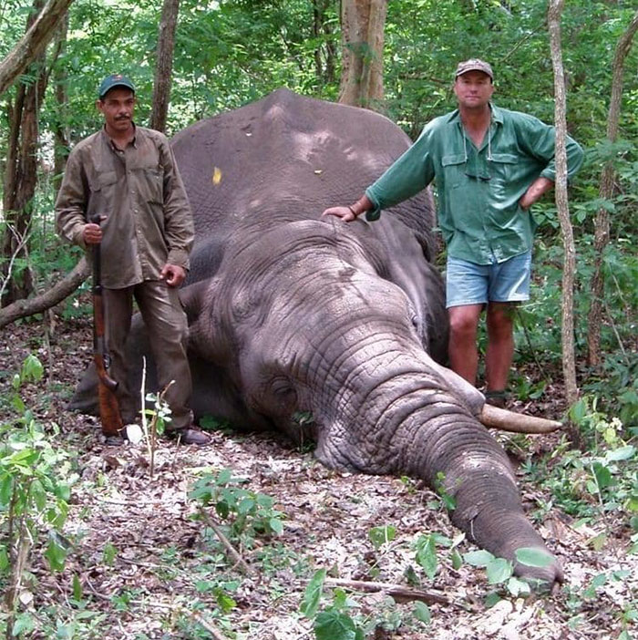elephant-crushes-big-game-hunter-dies-jose-monzalvez-namibia-28
