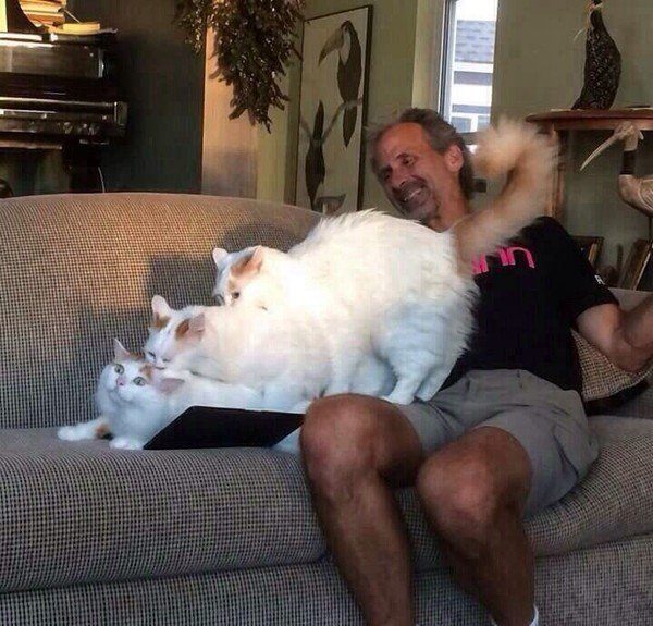 ПОЗИТИВНЫЙ ПОСТ+ 410