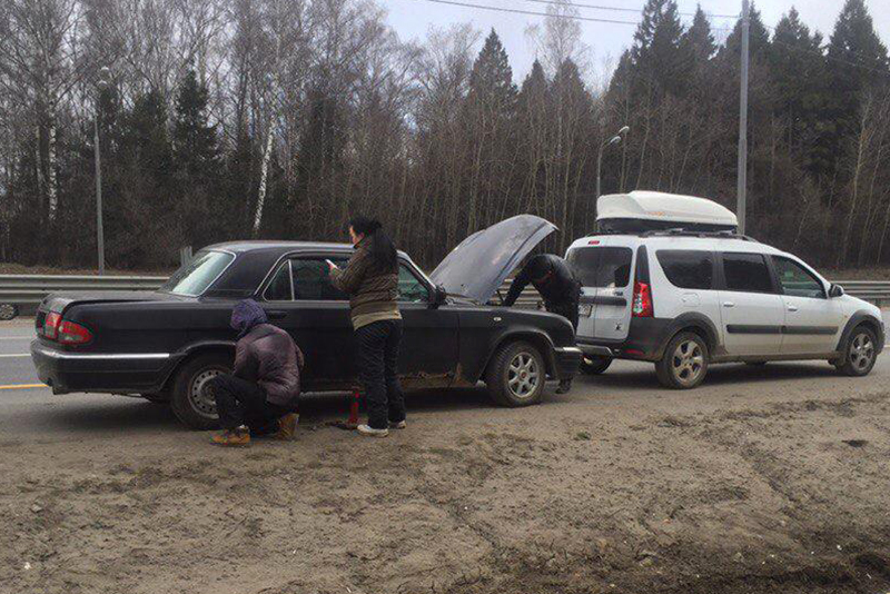 Под Москвой раскрыта банда корейцев, воровавших породистых собак и продавали их в рестораны Под Москвой раскрыта банда корейцев, воровавших породистых собак и продавали их в рестораны истории из жизни