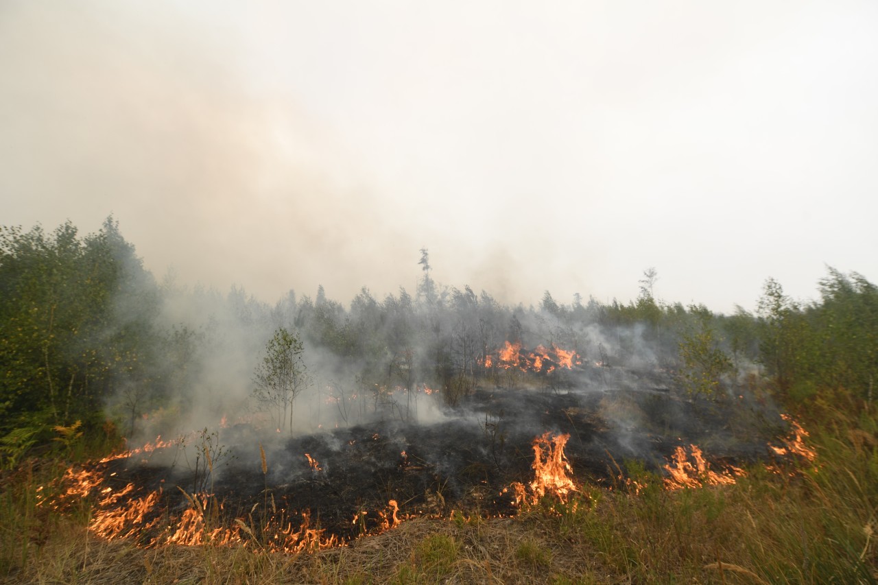 18 лесных пожаров действует в Забайкальском крае по состоянию на 22 мая
