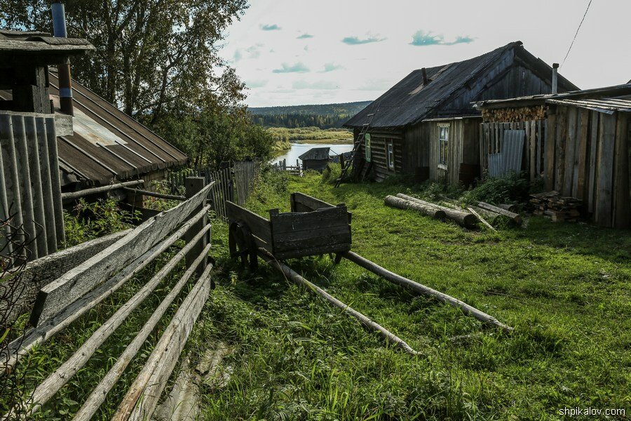 Северная деревня. Красота природы и ужасная бедность только, человек, через, этого, плохой, здесь, почте, встретил, коров, никто, коровы, четыре, лошадейСвет, осталось, Говорят, животные, могПопадаются, Побывал, дороги, утром