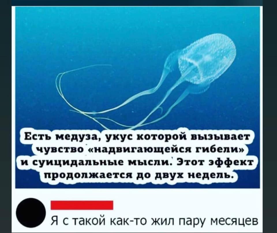 Пока научишься держать язык за зубами, они уже выпадут! Пока научишься держать язык за зубами, они уже выпадут! анекдоты,веселье,демотиваторы,приколы,смех,юмор
