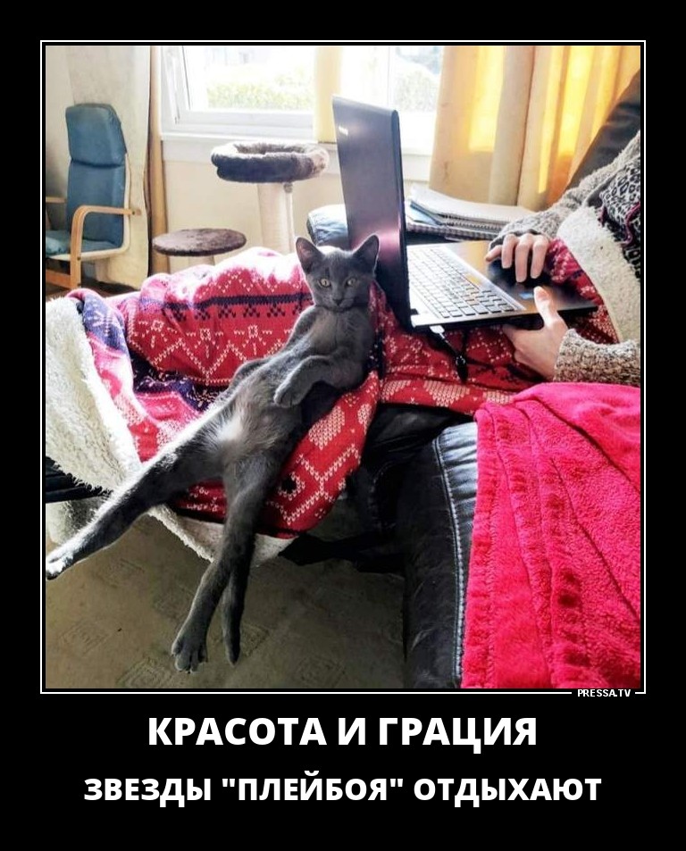 Забавные позитивные демотиваторы для хорошего настроения Забавные позитивные демотиваторы для хорошего настроения