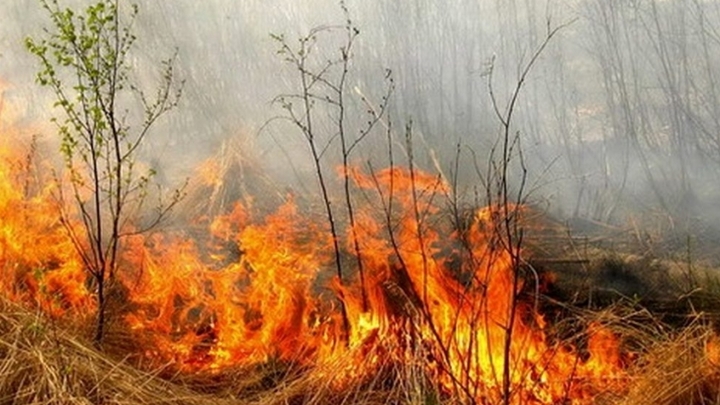 Забайкальский край получит дополнительное финансирование против пожаров и паводков
