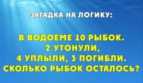 50 остроумных загадок на логику и смекалку. Загадки с подвохом и на логику 03