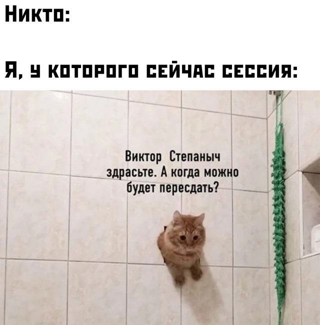 Подборка прикольных картинок Подборка прикольных картинок приколы,смешные картинки,юмор