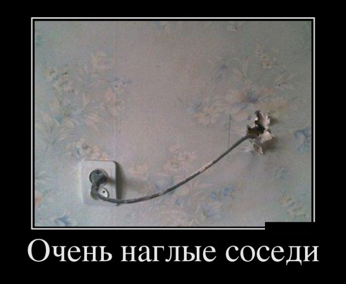 Демотиваторы выходного  дня 