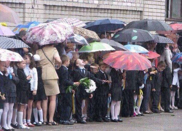 Подборка картинок. Вечерний выпуск (59 фото)