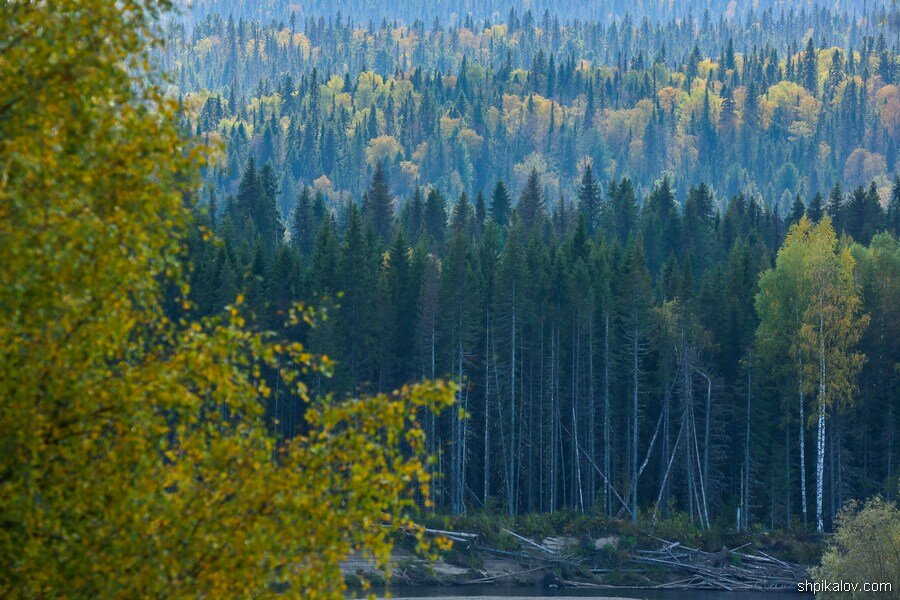 Северная деревня. Красота природы и ужасная бедность деревня,жизнь,Россия,север