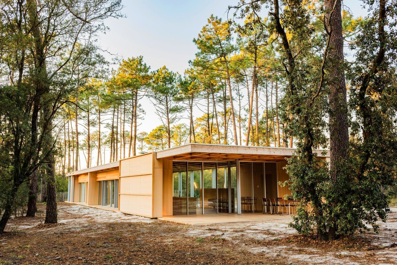 Интерьер и экстерьер деревянного дом с панорамным остеклением во Франции
