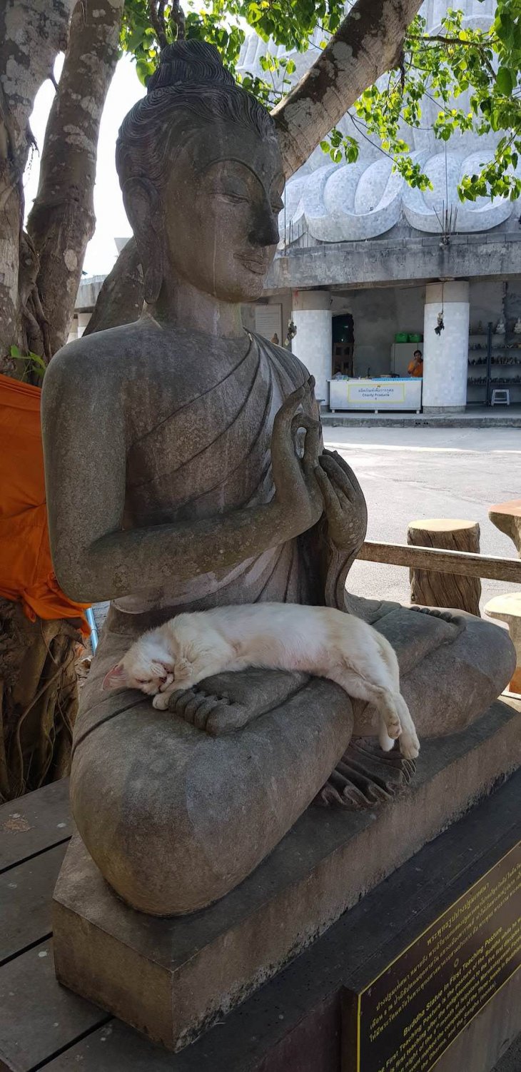 Прикольные фотографии - воскресный выпуск 