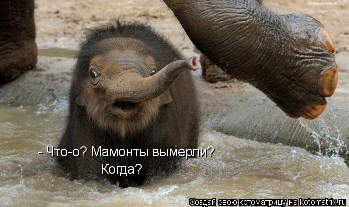 Мысли вслух :)